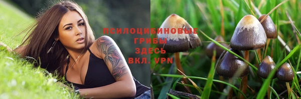 винт Абаза