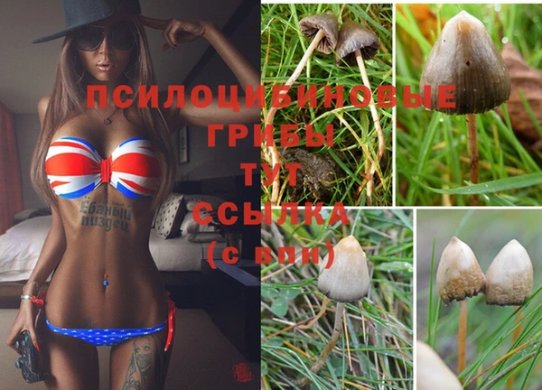 винт Абаза
